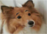 http://forum-images.hardware.fr/images/perso/2/sensationn.gif?f-ed=1