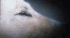[:ctro_oupa:5]